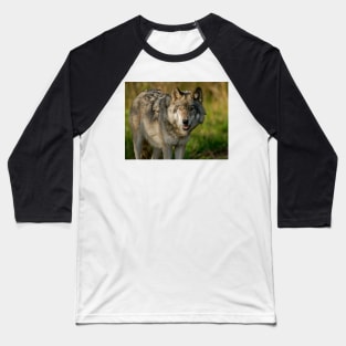 Timber Wolf Baseball T-Shirt